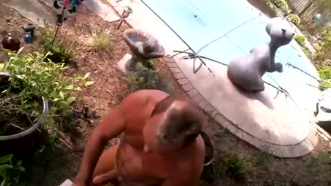 anoaklawnguy online show from April 2026 06:55:01 PM