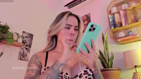 o ANTO online show from April 2026 09:08:02 PM