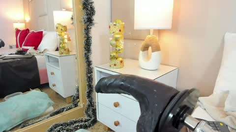 Snapshot of antoniaross chatting on January 2025 12:27:01 AM Antonia online show from January 2025 12:27:01 AM