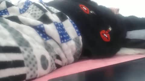 Snapshot of anysophy chatting on November 2025 08:47:01 PM SOFFIA online show from November 2025 08:47:01 PM