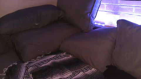 Shy Happy Pair online show from September 2025 07:56:02 AM