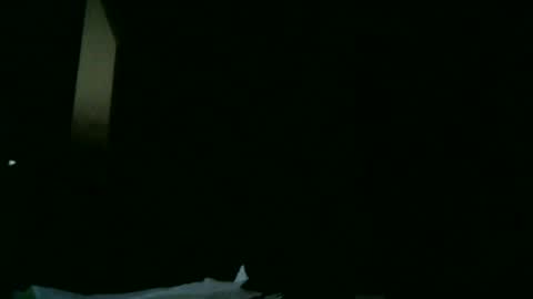 Snapshot of apixaba chatting on March 2025 08:21:01 PM furry bear online show from March 2025 08:21:01 PM