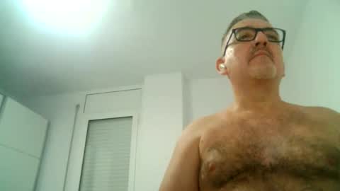 Snapshot of apixaba chatting on September 2025 08:43:01 PM furry bear online show from September 2025 08:43:01 PM