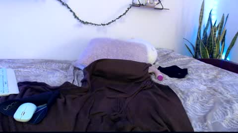 Snapshot of apolo01_ chatting on January 2025 07:10:02 PM Apolo online show from January 2025 07:10:02 PM