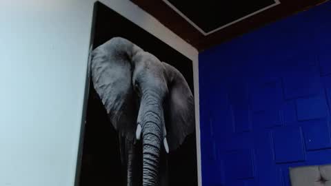 Snapshot of apolo_klein1 chatting on February 2025 08:48:01 AM Apolo online show from February 2025 08:48:01 AM