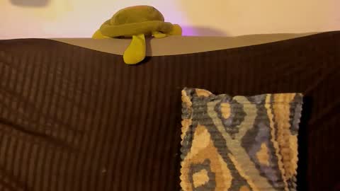 aprillebony319262 online show from February 2026 09:42:02 AM