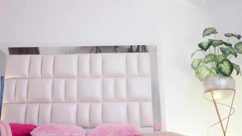   online show from February 2025 08:04:01 AM