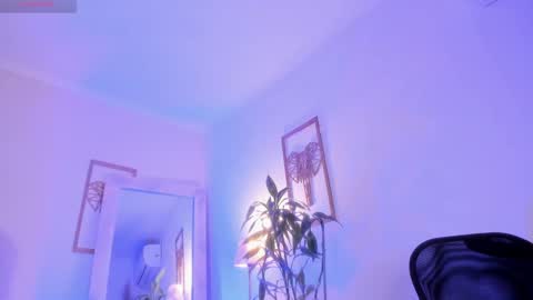 Archie online show from February 2025 02:47:02 PM