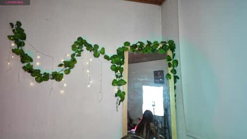 ari online show from January 2025 05:41:02 AM