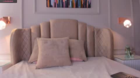 Snapshot of aria_greco chatting on January 2025 02:52:01 AM Aria  online show from January 2025 02:52:01 AM