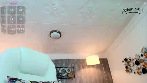 Snapshot of aria_li chatting on November 2025 12:07:02 PM aria online show from November 2025 12:07:02 PM