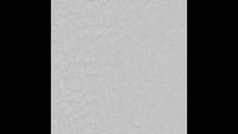 Snapshot of arianaa_collins chatting on October 2025 12:05:02 PM Arianna Collins online show from October 2025 12:05:02 PM