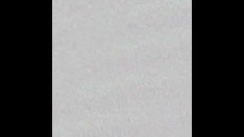 Snapshot of arianaa_collins chatting on November 2025 11:21:01 AM Arianna Collins online show from November 2025 11:21:01 AM