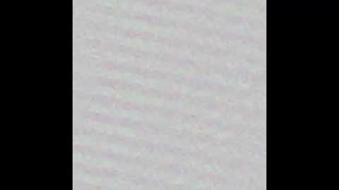 Arianna Collins online show from February 2026 11:35:02 AM