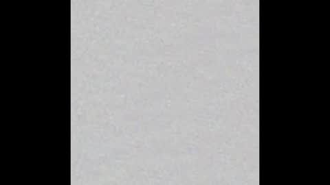 Arianna Collins online show from February 2026 11:53:01 AM