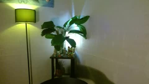 Snapshot of arianna_fox_devaxx chatting on February 2025 03:58:02 AM Your love arianna online show from February 2025 03:58:02 AM