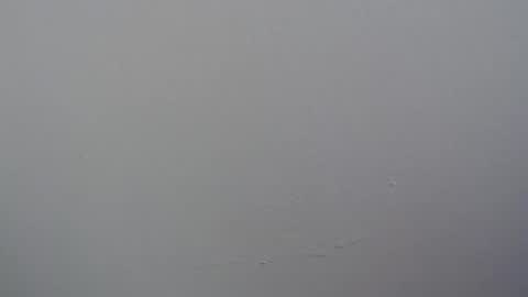 ariannaloovel online show from April 2026 06:01:02 PM