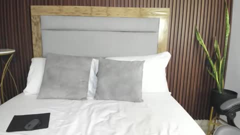 A R I online show from February 2026 07:43:01 PM