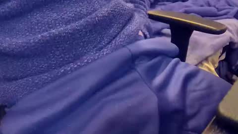 arky1988 online show from December 2025 12:51:02 AM