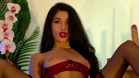 Armina online show from July 2026 10:08:02 AM
