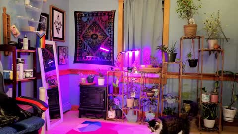 Artie Paints online show from January 2025 12:16:02 AM