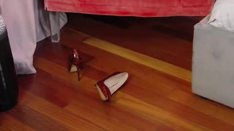 Aryana online show from September 2025 05:34:02 AM