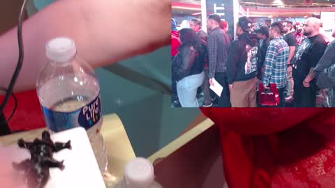 Snapshot of ashbashgirl chatting on January 2026 04:05:01 AM SweetAshCheeks online show from January 2026 04:05:01 AM