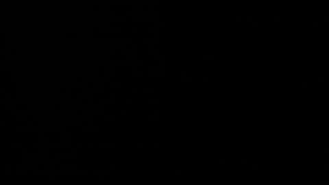 kylie online show from September 2025 02:55:01 AM