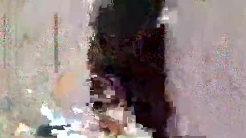 Snapshot of asian_cummer7 chatting on April 2026 02:26:01 PM asian_cummer7 online show from April 2026 02:26:01 PM