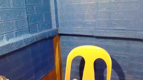 Snapshot of asian_decy chatting on February 2026 02:30:01 AM asian_decy online show from February 2026 02:30:01 AM