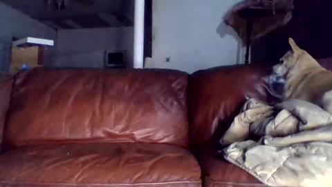 Snapshot of assholeslut9000 chatting on December 2025 01:43:02 AM Tell me spread and Ill spread online show from December 2025 01:43:02 AM