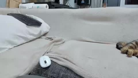 MARCO online show from December 2025 04:57:02 PM