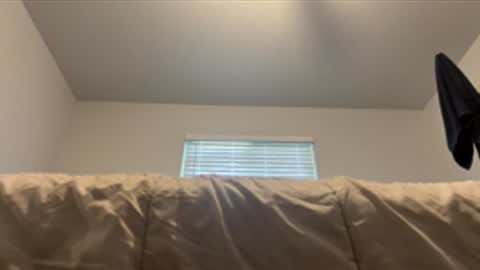 danni travis online show from June 2026 07:48:01 PM