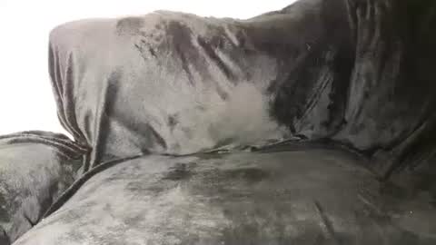 Assiology online show from March 2025 05:38:02 PM