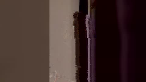 Snapshot of asya_new chatting on May 2026 09:34:01 PM asya_new online show from May 2026 09:34:01 PM