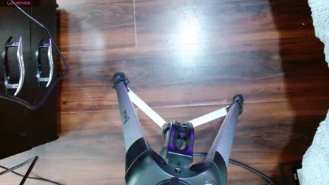 Aurora online show from December 2024 12:15:01 PM