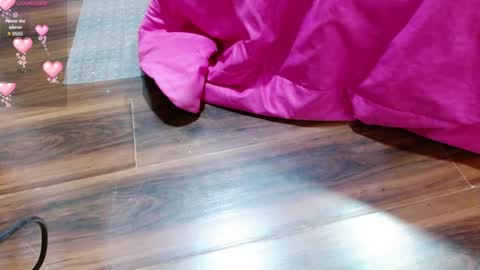 Aurora online show from January 2025 12:41:02 PM