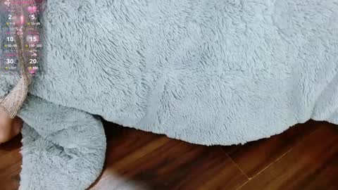 Aurora online show from January 2025 12:45:02 PM