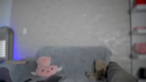 Aurora online show from February 2026 03:05:02 PM