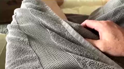 Aussie fatcock online show from April 2026 12:52:01 AM