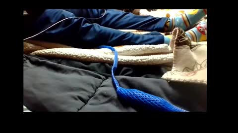 Snapshot of automaticmechanic chatting on December 2024 04:38:01 PM Senior Agua online show from December 2024 04:38:01 PM