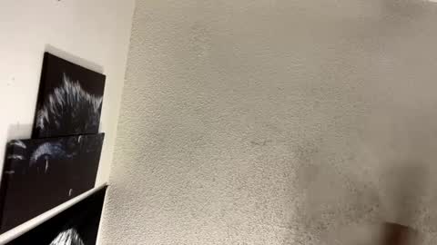 Snapshot of avalkyerieandherheathen chatting on February 2025 01:37:01 AM Lily Orion online show from February 2025 01:37:01 AM