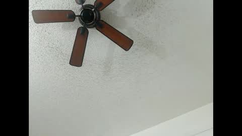 Snapshot of avalkyerieandherheathen chatting on February 2025 01:19:01 AM Lily Orion online show from February 2025 01:19:01 AM