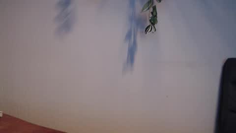 PiPa online show from May 2026 07:20:01 PM