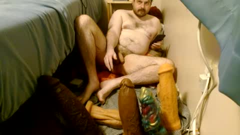 awizr online show from July 2026 03:37:01 AM