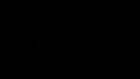 Axell Cross2 online show from March 2026 06:19:01 AM