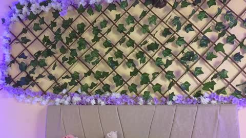 Snapshot of baby_xian chatting on December 2024 02:45:02 AM Dani online show from December 2024 02:45:02 AM