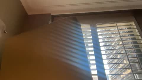 bcin online show from September 2025 02:57:02 AM