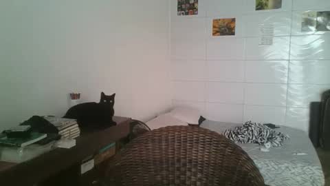 Snapshot of babydemon6 chatting on November 2025 06:50:01 PM babydemon6 online show from November 2025 06:50:01 PM