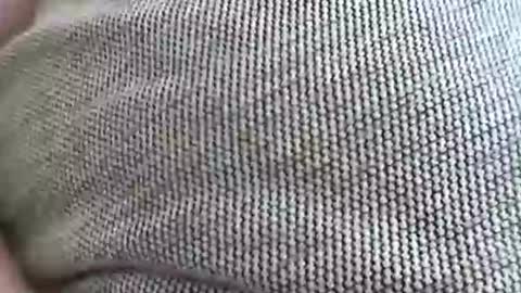 babydollxoxoxo123 online show from April 2026 09:21:02 AM